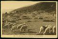 Cartes postales anciennes 12763